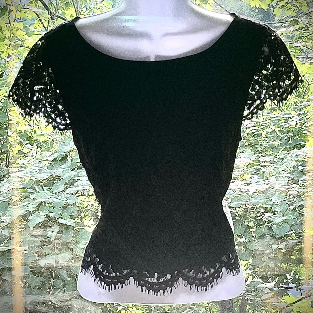 Elegant Black Lace Women's Crop Top